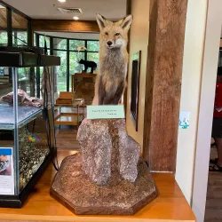 Croydon Creek Nature Center - Rockville