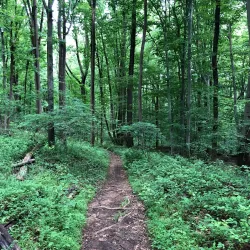 Croydon Creek Nature Center - Rockville