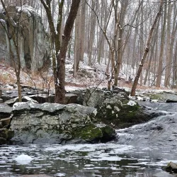 Croydon Creek Nature Center - Rockville