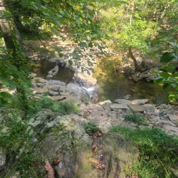 Croydon Creek Nature Center - Rockville