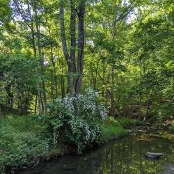 Croydon Creek Nature Center - Rockville