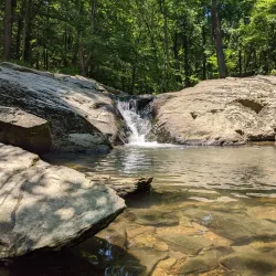 Croydon Creek Nature Center - Rockville