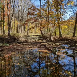 Croydon Creek Nature Center - Rockville