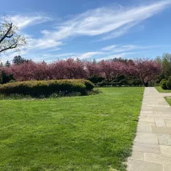 Glenview Mansion and Rockville Civic Center Park - Rockville