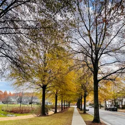 King Farm Park - Rockville