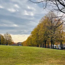 King Farm Park - Rockville