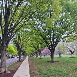 King Farm Park - Rockville