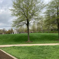 King Farm Park - Rockville