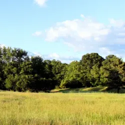 RedGate Golf Course - Rockville