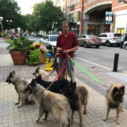 Rockville Town Square - Rockville