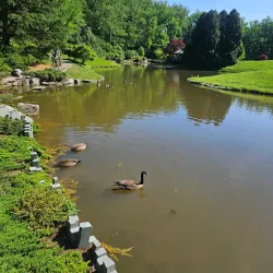 Brookside Gardens - Silver Spring