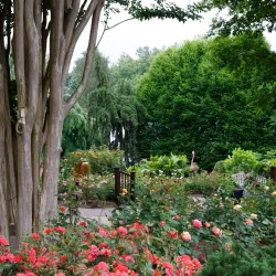 Brookside Gardens - Silver Spring