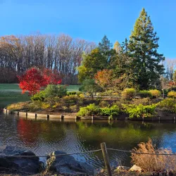 Brookside Gardens - Silver Spring