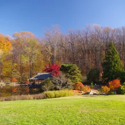 Brookside Gardens - Silver Spring