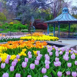 Brookside Gardens - Silver Spring