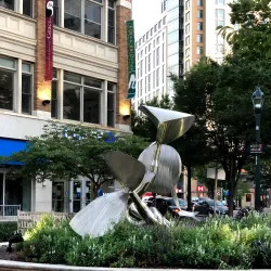 Downtown Silver Spring - Silver Spring