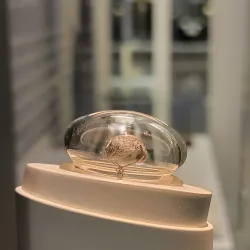 National Museum of Health and Medicine - Silver Spring