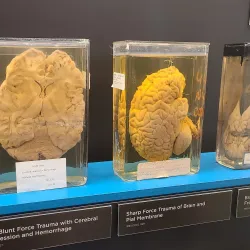 National Museum of Health and Medicine - Silver Spring