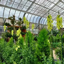 Wheaton Regional Park - Silver Spring