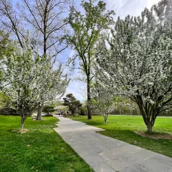 Wheaton Regional Park - Silver Spring