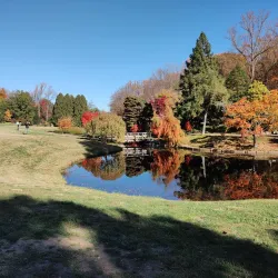 Wheaton Regional Park - Silver Spring