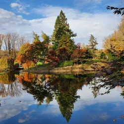 Wheaton Regional Park - Silver Spring