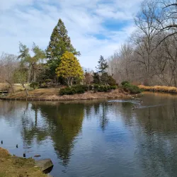 Wheaton Regional Park - Silver Spring