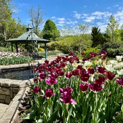 Wheaton Regional Park - Silver Spring