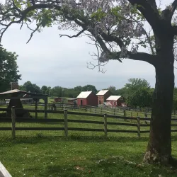 Historic Oxon Hill Farm - Temple Hills