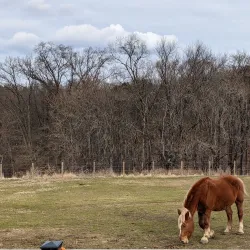 Historic Oxon Hill Farm - Temple Hills