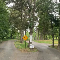 Temple Hills Community Park - Temple Hills