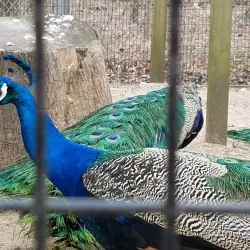 Watkins Regional Park - Upper Marlboro