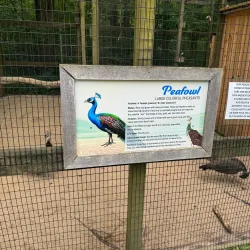 Watkins Regional Park - Upper Marlboro