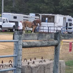 Charles County Fairgrounds - Waldorf