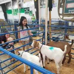 Charles County Fairgrounds - Waldorf