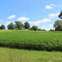 Dr. Samuel A. Mudd House Museum - Waldorf