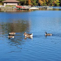 Gilbert Run Regional Park - Waldorf