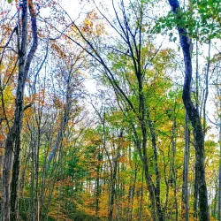 Gilbert Run Regional Park - Waldorf