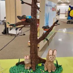 Carroll Arts Center - Westminster