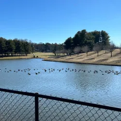 Carroll County Farm Museum - Westminster
