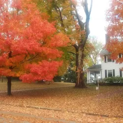 Westminster City Park - Westminster