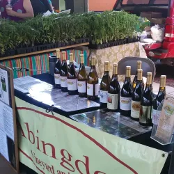 Abington Farmers Market - Abington
