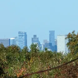 Chickatawbut Hill Conservation Area - Abington