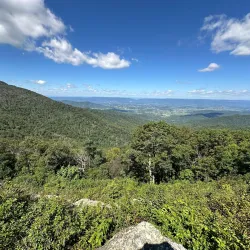 Chickatawbut Hill Conservation Area - Abington