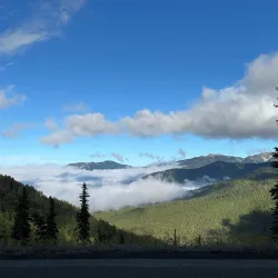 Chickatawbut Hill Conservation Area - Abington