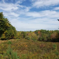 Chickatawbut Hill Conservation Area - Abington