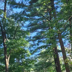 Chickatawbut Hill Conservation Area - Abington