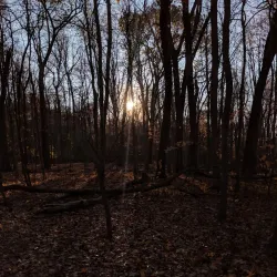 Chickatawbut Hill Conservation Area - Abington