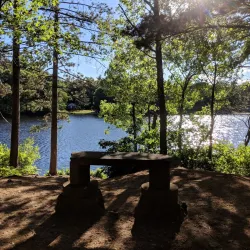 Island Grove Park - Abington