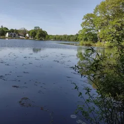 Island Grove Park - Abington